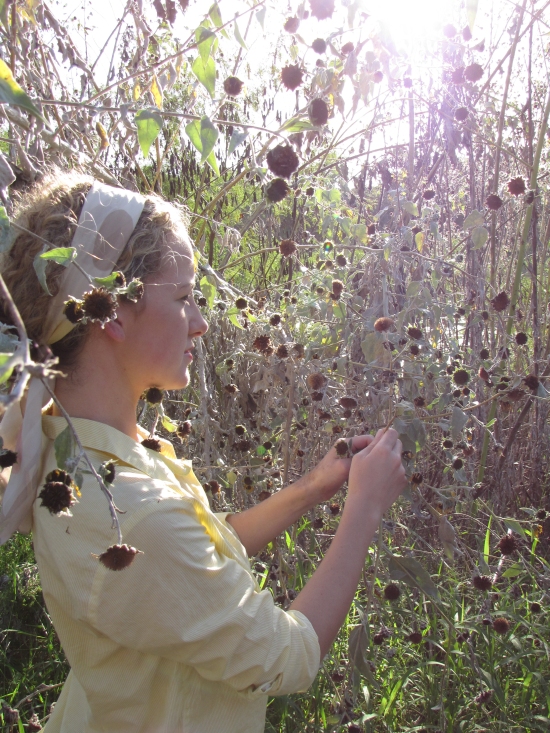 Kayla Taking Flowers at end of Season to Seed New Sunflower Hedgerow