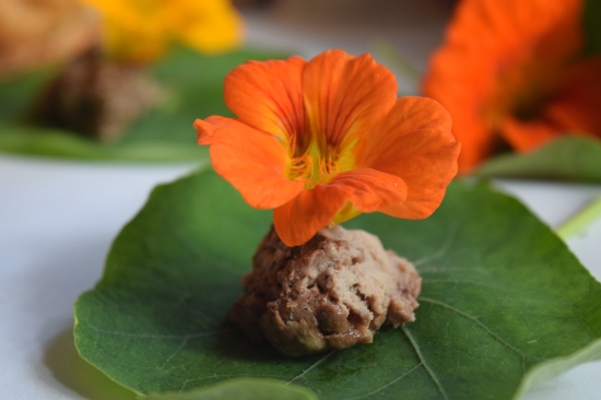 Nasturtium Leaf and Flower with Country Terrine